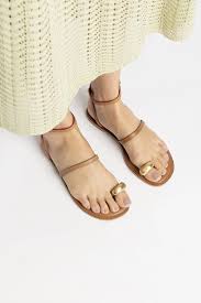 Image result for Loxodera