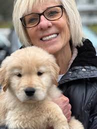 What happened to Oxotic exotic car rental business?