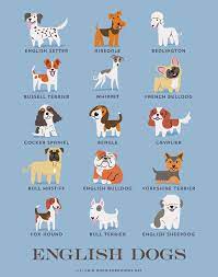 cografi bolgelere gore dunyanin tum kopek irklari razas de perros perros ingleses lenguaje de los perros