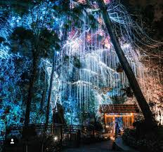 Penang local went to check out the hype surrounding penang's latest tourist attraction in tanjung bungah at the weekend. Penang Avatar Secret Garden Secret Garden Climbing Plants Rose Plant Care