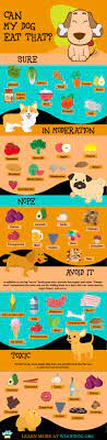 Can My Dog Eat That Human Foods Your Dog Can Eat And 11 Toxic Ones To Avoid Doginfographic Https Woof Dog Eating Food Food Dogs Cant Eat What Dogs Cant Eat