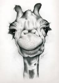 Sevayda On Twitter Giraffe Art Cool Drawings Animal Drawings