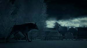 Buy wolf photographs framed prints from our community of independent artists and iconic brands. Terra X Vom Wolf Zum Hund Facebook