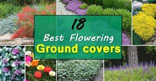 Pin On Gardening