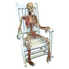 New Skeleton Chair Meme Memes Caffeine Memes Rocking Memes Coffee Memes It operates in html5 canvas, so your images are created instantly on your own device. new skeleton chair meme memes
