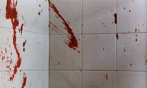 At the disco, and my chemical romance music from your desktop or mobile device. Pigtrapped Tumblr Blog Tumgir