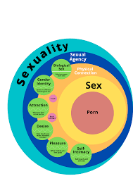What Is Sexuality?. Here Is A Picture That Can Help. | by Belinda Tobin |  Medium