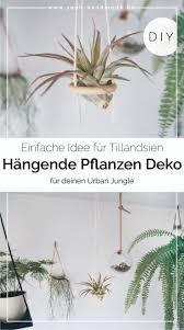 Pin On Innen Pflanzen