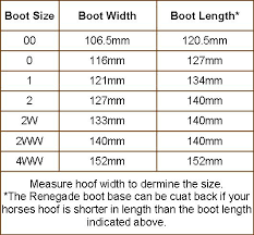 horsefx renegade hoof boots