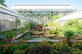 Speichere diese suche in deiner merkliste, und erhalte. Von Kakteen Kamelien Und Katzen Das Ist Der Botanische Garten Jena T Akt Magazin