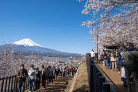Visiting Lake Kawaguchiko To See Mount Fuji Everything You Need To Know