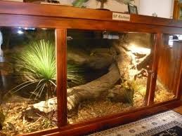 Pin By Hp Customs Reptile Enclosure On Enclosures And Reptiles Reptile Enclosure Reptiles Animal Room