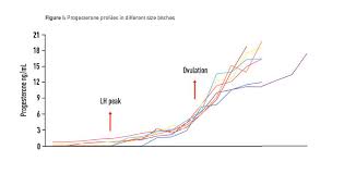 20 Facts You Should Know About Timing Of Ovulation In The