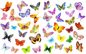 Maybe you would like to learn more about one of these? Monarch Butterflies Flying Free Vector Download 3 787 Free Vector For Commercial Use Format Ai Eps Cdr Svg Vector Illustration Graphic Art Design