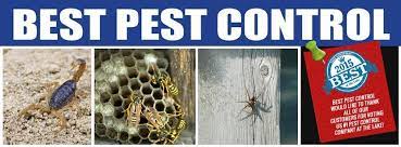 As you're researching pest control companies, be sure to consider these questions: Best Pest Control Linkedin