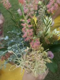 Delivering this seasons best flowers for everyone, everyday at great value. Newsletter 36 June July 2017 Australian Flowers Abroad Gardening With Angus