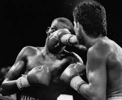 Julio cesar chavez vs roger mayweather: Julio Cesar Chavez Vs Roger Mayweather 2nd Meeting Boxrec