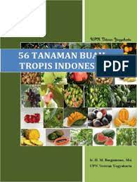 Selain itu, anda juga disarankan untuk menjauhi minuman beralkohol dan berhenti merokok untuk menurunkan gula darah. Buah Dan Sayuran Untuk Menurunkan Gula Darah Language Id 7 Makanan Penurun Gula Darah Secara Cepat Untuk Penderita Diabetes Hot Liputan6 Com