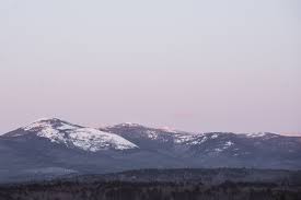 Image result for Harvest Gold 1983 Tappan