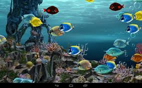 Nah, karena hal itulah kami sudah mengumpulkan kami berharap postingan download background keren 3d bergerak diatas bisa berguna buat kalian. Download Wallpaper 3d Bergerak Untuk Hp Android Degilinkhoff Oregon