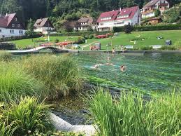 Pension Knapp Specialty B B Reviews Ottenhoefen Im Schwarzwald Germany Tripadvisor