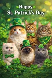 Happy St. Patrick's Day with cats