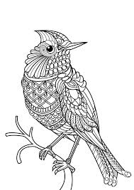 Animals coloring book pdf palmarosa. Easy Free Printable Animal Coloring Pages For Adults Novocom Top