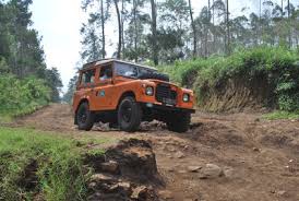 Image result for Russet Brown 1981 Land Rover