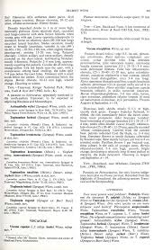 Image result for Vanwykia remota