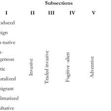 Image result for Pycreus fluminalis