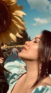 Sunflower fields open to the public near Pine River?