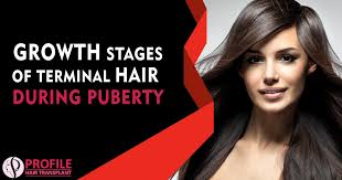 The average age at menarche is 13, with a the increased density and thickness of hair growth and increased apocrine gland activity in puberty may also affect the microbiome. Growth Stages Of Terminal Hair During Puberty