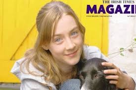 What did the Normans ever do for us...?