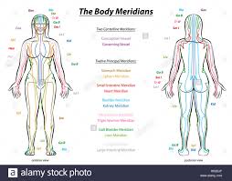 Meridian System Chart Female Body With Principal And