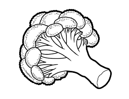 Broccoli Illustration Illustration Embroidery Template Preschool Art Coloring Pages