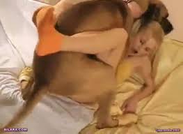 Once they start fucking, neither of them can get enough and they get into some positions that will amaze you. Cute Blonde Gets Manhandled By Giant Dog Cock In Dog Sex Video Zoo Porn Dog Sex