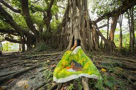 𝓢𝓾𝓷𝓯𝓵𝓸𝔀𝓮𝓻 𝓢𝓪𝓻𝓮𝓮 🌻 𝐈𝐫𝐢𝐧 (@irinhossain ): Got this saree  few Autums back, wanted to drape it of course in a sunflower field. But,  umm..the saree was a beaut and could not resist