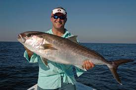 Amberjack and Triggerfish Seasons Open August 1 | Outdoor Alabama