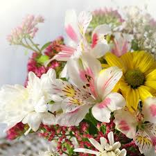 McCARRON, Emma: Death : Irish Times