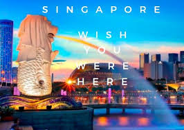 Travel To Singapore In 2020 Singapore Travel Quickbooks Online Success Business