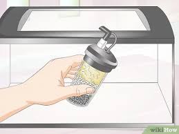 A complete fact sheet, breeding, behavior, and care guide. How To Make A Shrimp Aquarium 15 Steps With Pictures Wikihow