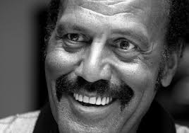 Fred Williamson interview — THE FLASHBACK FILES
