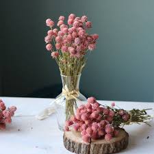 Dried Flower Bouquet Dried Flower Bunchpink Globe Etsy Dried Flower Bouquet Globe Amaranth Dried Flowers
