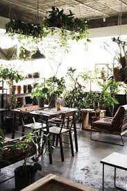 名古屋の個性的な観葉植物とガーデンデザイン グリーン インテリア ガーデン デザイン インテリアガーデン