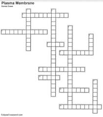 Cell structure crossword puzzle answer key pdf. Plasma Membrane Of A Cell Definition Function Structure Video Lesson Transcript Study Com