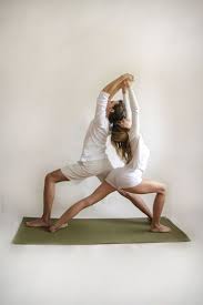 Partner Yoga Twin Warriors Pose Couples Yoga Poses Couples Yoga Partner Yoga