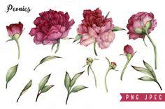 Download 20 1 Peony Svg Ideas In 2020 Peonies Svg Peony Drawing SVG Cut Files