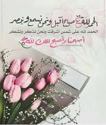 Pin By Mohammed Alsayed On الصباح والمساء Good Morning Images Morning Images Morning Msg