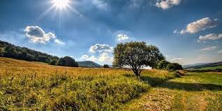 The year beginning with advent 2021 is year c. Birmingham Ramblers Sunday Coach Walk On 1 August 2021 South Of Skenfrith Birmingham En August 1 2021