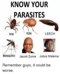 All your memes, gifs & funny pics in one place. Know Your Parasites Tick Flealeech Mosquito Jacob Zuma Julius Malema Politics Meme On Me Me